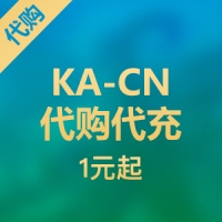海外代充代付